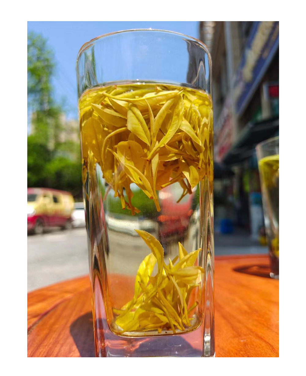 品茗黃金芽